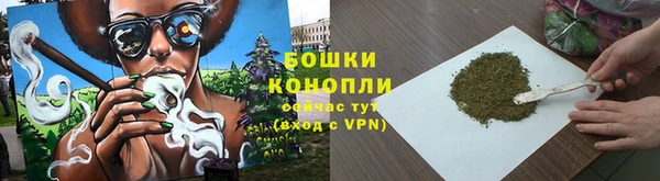 ECSTASY Богданович