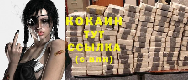 ECSTASY Богданович